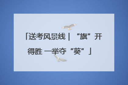 送考风景线｜“旗”开得胜 一举夺“葵”