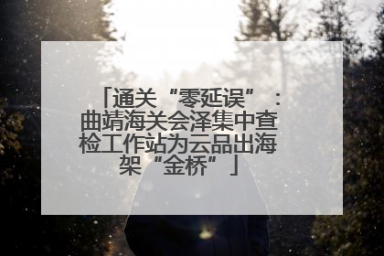 通关“零延误”：曲靖海关会泽集中查检工作站为云品出海架“金桥”