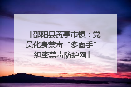 邵阳县黄亭市镇：党员化身禁毒“多面手” 织密禁毒防护网
