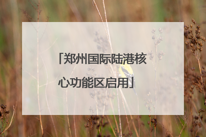 郑州国际陆港核心功能区启用