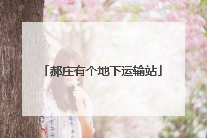 郝庄有个地下运输站