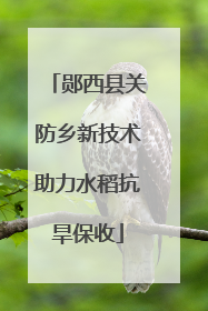 郧西县关防乡新技术助力水稻抗旱保收
