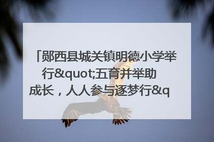 郧西县城关镇明德小学举行"五育并举助成长，人人参与逐梦行"庆六一活动