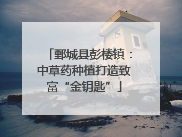 鄄城县彭楼镇：中草药种植打造致富“金钥匙”