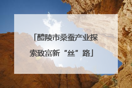 醴陵市桑蚕产业探索致富新“丝”路
