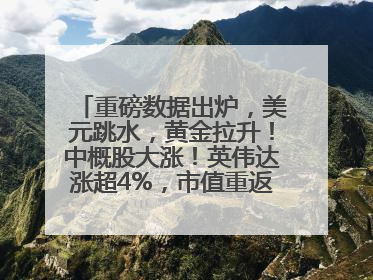 重磅数据出炉，美元跳水，黄金拉升！中概股大涨！英伟达涨超4%，市值重返全球第一！黄仁勋计划出售至多600万股股票