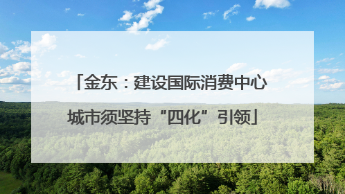 金东：建设国际消费中心城市须坚持“四化”引领