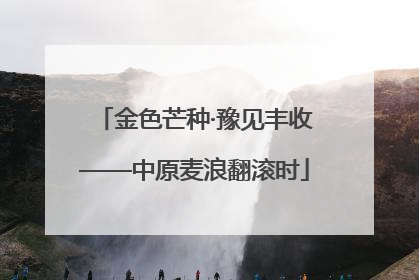 金色芒种·豫见丰收——中原麦浪翻滚时