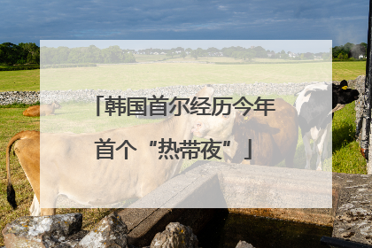 韩国首尔经历今年首个“热带夜”