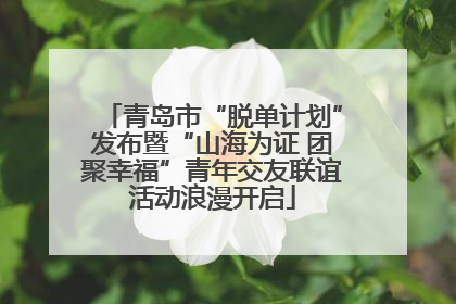 青岛市“脱单计划”发布暨“山海为证 团聚幸福”青年交友联谊活动浪漫开启