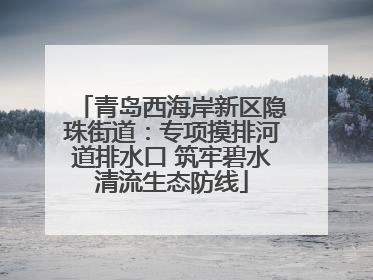 青岛西海岸新区隐珠街道：专项摸排河道排水口 筑牢碧水清流生态防线