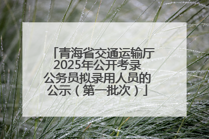 青海省交通运输厅2025年公开考录公务员拟录用人员的公示（第一批次）