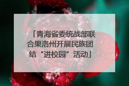 青海省委统战部联合果洛州开展民族团结“进校园”活动