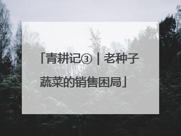 青耕记③｜老种子蔬菜的销售困局