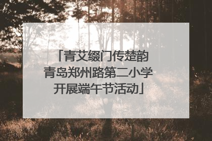 青艾缀门传楚韵 青岛郑州路第二小学开展端午节活动