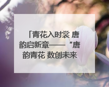 青花入时裳 唐韵启新章——“唐韵青花 数创未来”数字文创设计大赛启幕