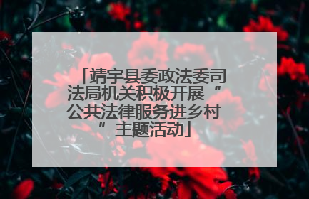 靖宇县委政法委司法局机关积极开展“公共法律服务进乡村”主题活动