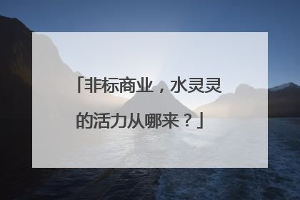 非标商业，水灵灵的活力从哪来？