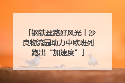 钢铁丝路好风光丨沙良物流园助力中欧班列跑出“加速度”