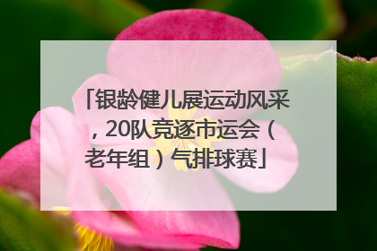 银龄健儿展运动风采，20队竞逐市运会（老年组）气排球赛