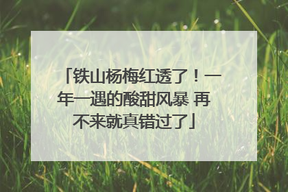 铁山杨梅红透了！一年一遇的酸甜风暴 再不来就真错过了