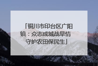 铜川市印台区广阳镇：众志成城战旱情 守护农田保民生