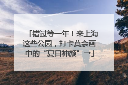 错过等一年！来上海这些公园，打卡莫奈画中的“夏日神颜”→