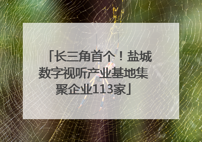 长三角首个！盐城数字视听产业基地集聚企业113家