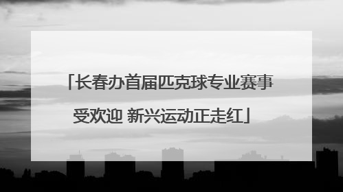 长春办首届匹克球专业赛事受欢迎 新兴运动正走红