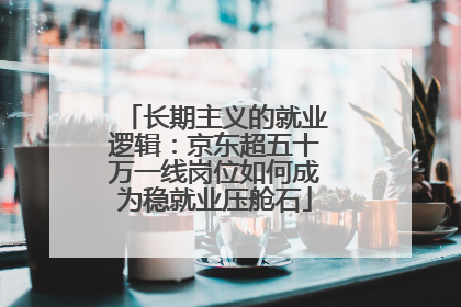 长期主义的就业逻辑：京东超五十万一线岗位如何成为稳就业压舱石