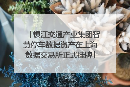 镇江交通产业集团智慧停车数据资产在上海数据交易所正式挂牌