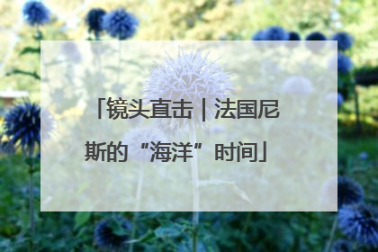 镜头直击｜法国尼斯的“海洋”时间