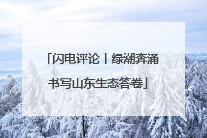闪电评论丨绿潮奔涌 书写山东生态答卷