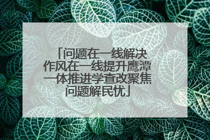 问题在一线解决 作风在一线提升鹰潭一体推进学查改聚焦问题解民忧