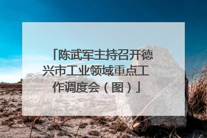 陈武军主持召开德兴市工业领域重点工作调度会（图）