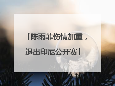 陈雨菲伤情加重，退出印尼公开赛