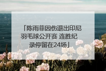 陈雨菲因伤退出印尼羽毛球公开赛 连胜纪录停留在24场