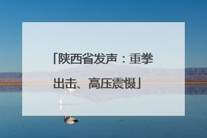 陕西省发声：重拳出击、高压震慑