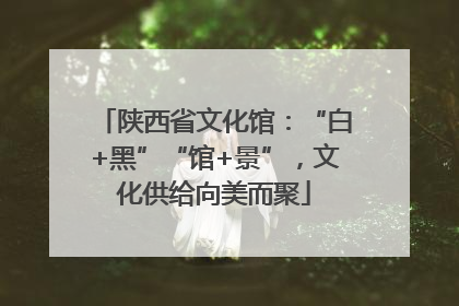 陕西省文化馆：“白+黑”“馆+景”，文化供给向美而聚