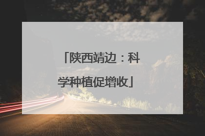 陕西靖边：科学种植促增收