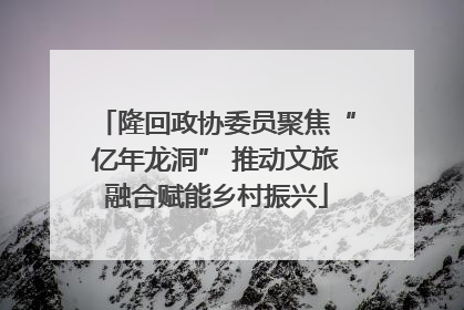 隆回政协委员聚焦“亿年龙洞” 推动文旅融合赋能乡村振兴