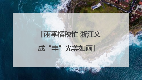 雨季插秧忙 浙江文成“丰”光美如画