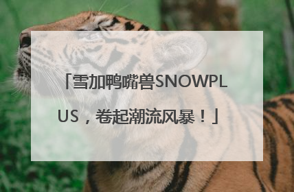 雪加鸭嘴兽SNOWPLUS，卷起潮流风暴！