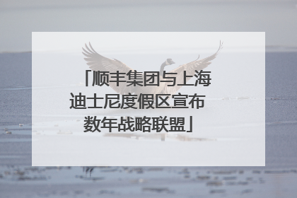 顺丰集团与上海迪士尼度假区宣布数年战略联盟