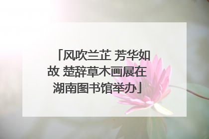 风吹兰芷 芳华如故 楚辞草木画展在湖南图书馆举办