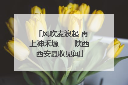 风吹麦浪起 再上神禾塬——陕西西安夏收见闻