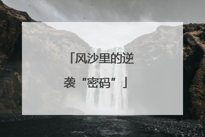 风沙里的逆袭“密码”