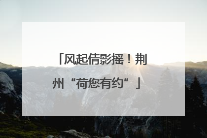 风起倩影摇！荆州“荷您有约”