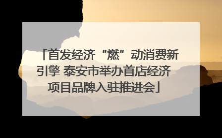首发经济“燃”动消费新引擎 泰安市举办首店经济项目品牌入驻推进会