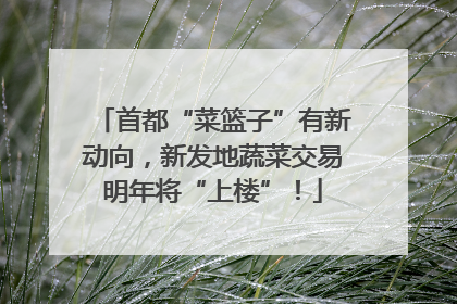 首都“菜篮子”有新动向，新发地蔬菜交易明年将“上楼”！